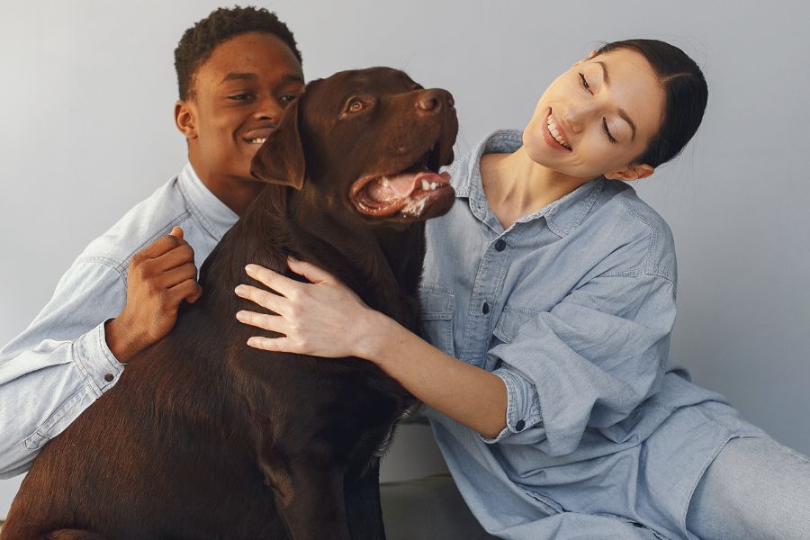 two people petting a dog