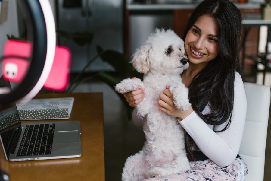 woman sitting at a desk with a laptop holding a dog