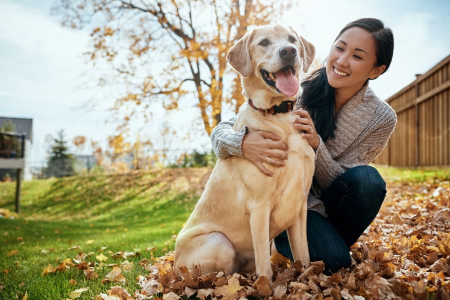 woman sitting with a dog outside near a pile of autumn leaves
