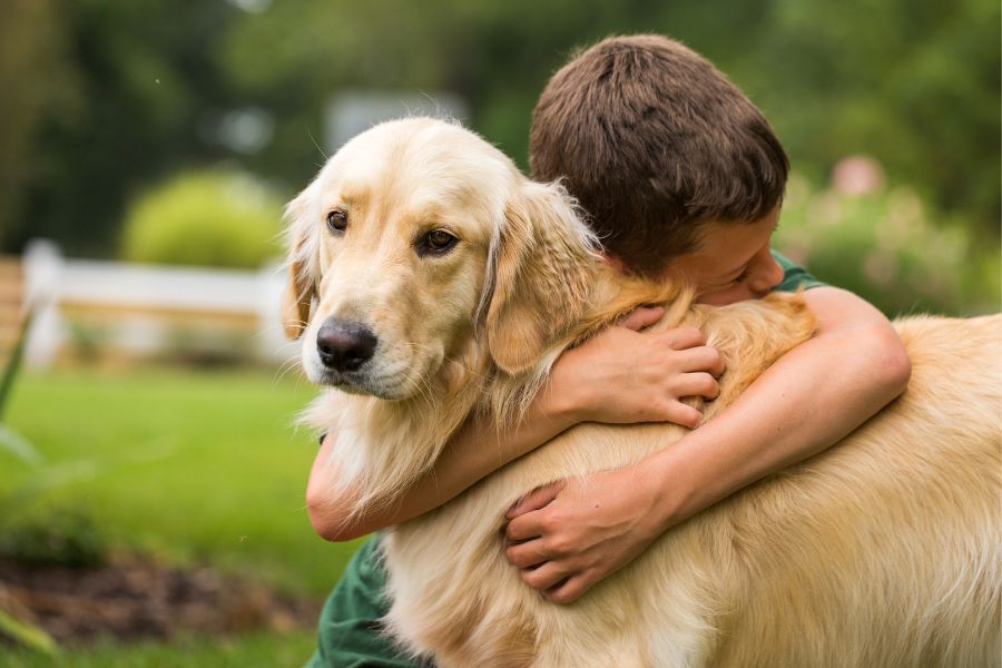 a child hugging a dog