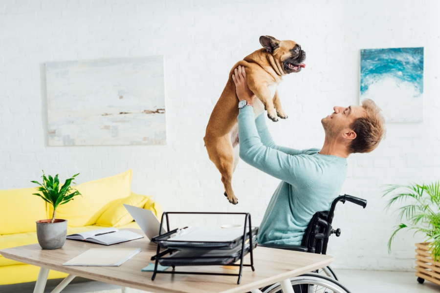 A man in a wheelchair holding up his french bulldog